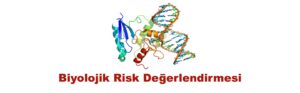 Read more about the article Biyolojik Risk Değerlendirme