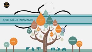 Read more about the article Periyodik Sağlık Muayeneleri